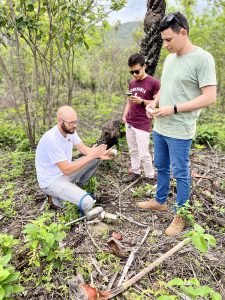 native carnauba, carbon capture, carbon sequestration