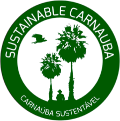 sustainable carnauba