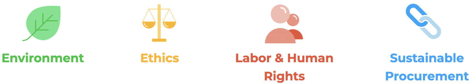 Ecovadis Platinum pillars