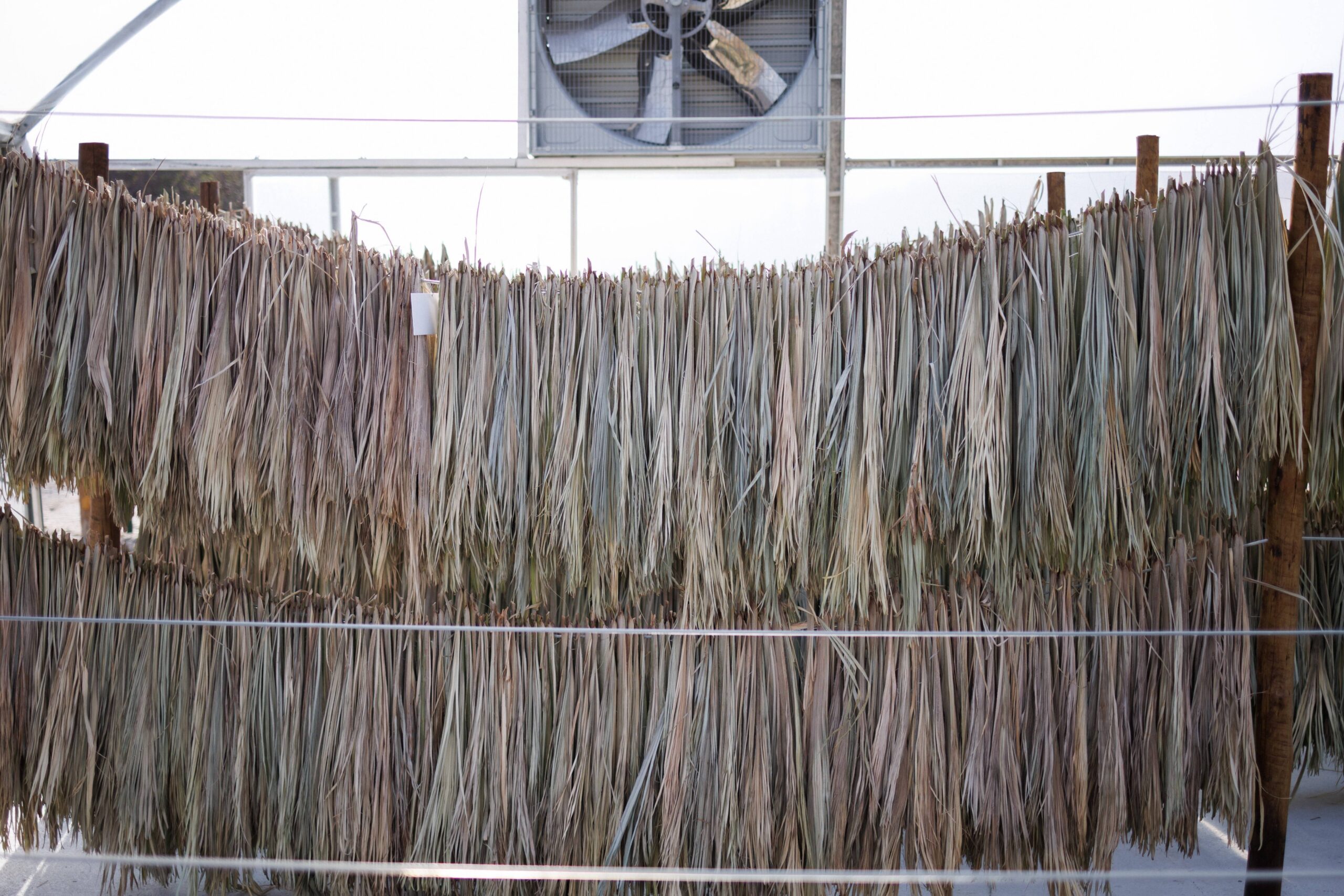 Pontes community solar dryer